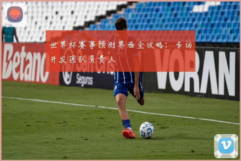 世界杯赛事预测界面全攻略：专访开发团队负责人