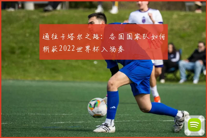 通往卡塔尔之路：各国国家队如何斩获2022世界杯入场券