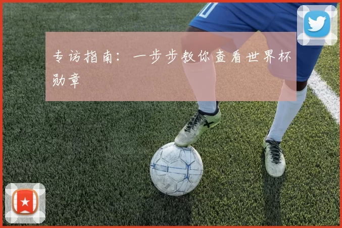 专访指南：一步步教你查看世界杯勋章