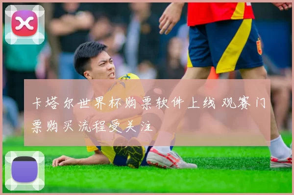 卡塔尔世界杯购票软件上线 观赛门票购买流程受关注