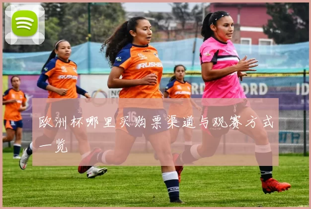 欧洲杯哪里买购票渠道与观赛方式一览