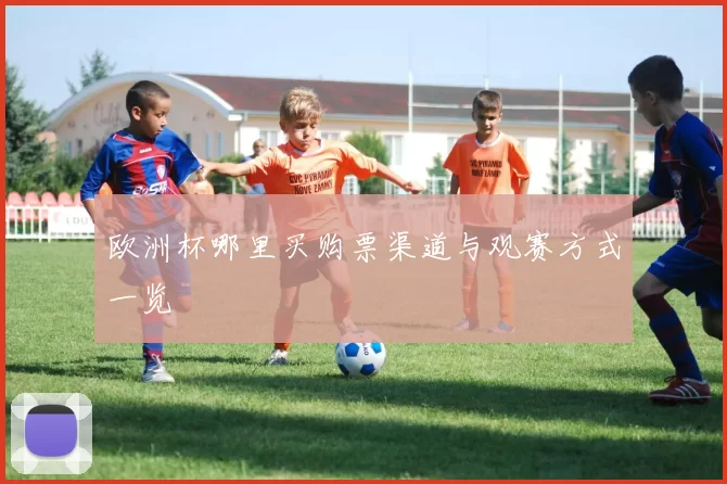 欧洲杯哪里买购票渠道与观赛方式一览