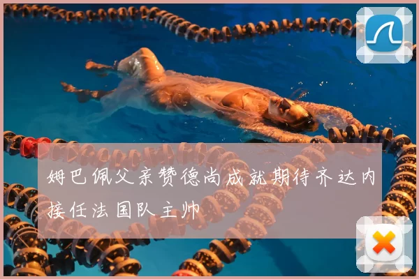 姆巴佩父亲赞德尚成就期待齐达内接任法国队主帅