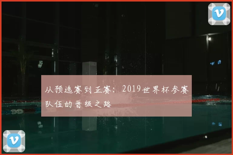 从预选赛到正赛：2019世界杯参赛队伍的晋级之路
