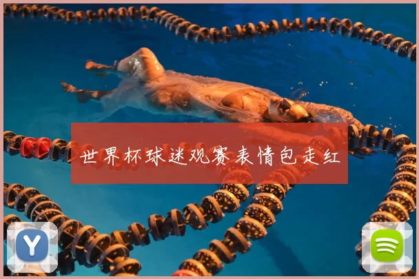 世界杯球迷观赛表情包走红