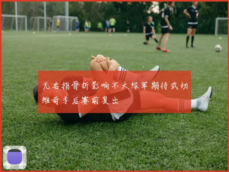 无名指骨折影响不大绿军期待武切维奇季后赛前复出