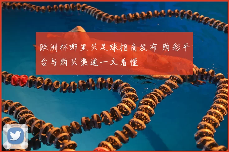 欧洲杯哪里买足球指南发布 购彩平台与购买渠道一文看懂