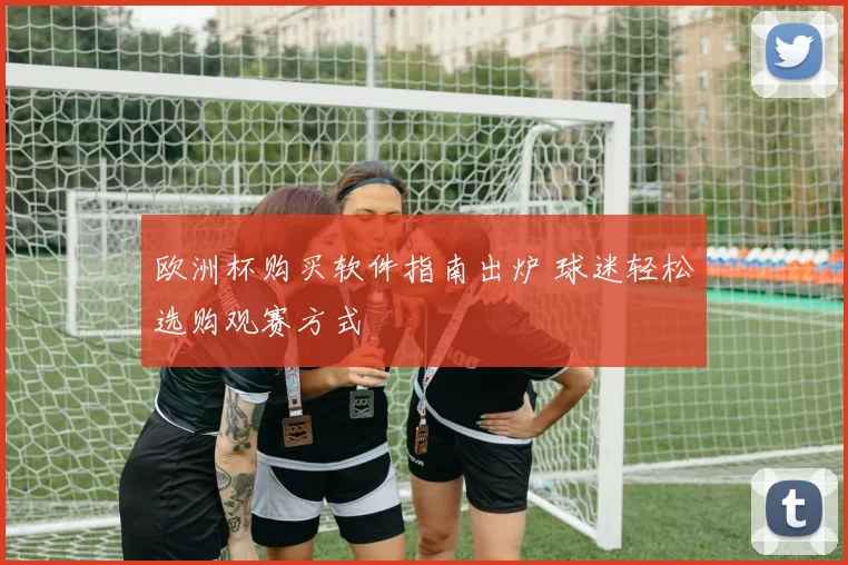 欧洲杯购买软件指南出炉 球迷轻松选购观赛方式