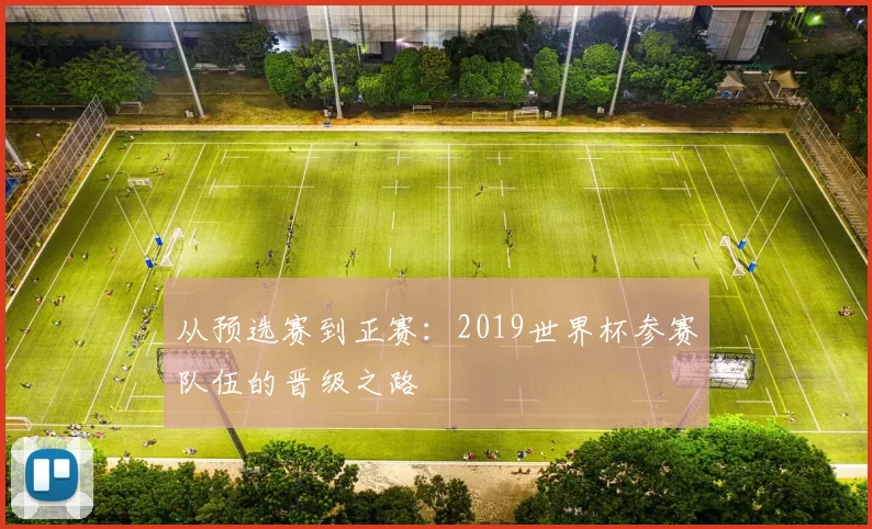 从预选赛到正赛：2019世界杯参赛队伍的晋级之路
