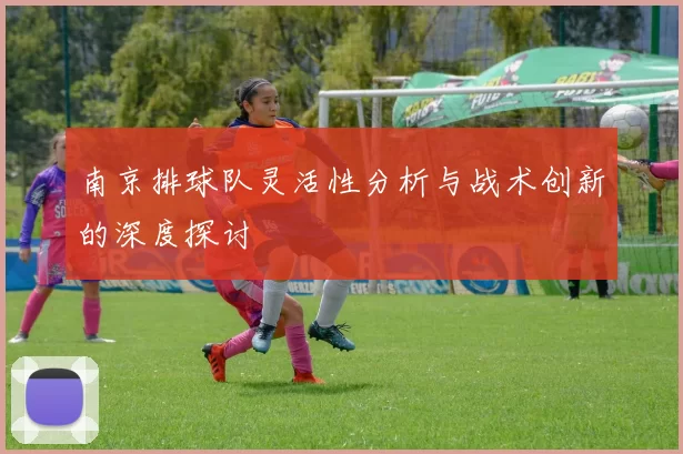南京排球队灵活性分析与战术创新的深度探讨