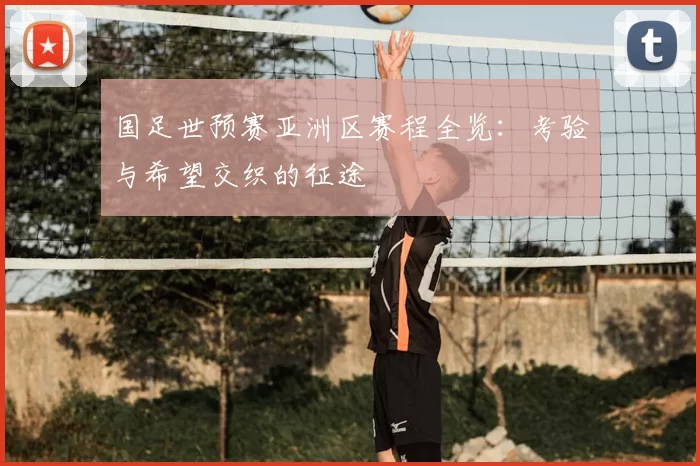 国足世预赛亚洲区赛程全览：考验与希望交织的征途