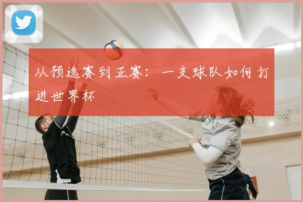 从预选赛到正赛：一支球队如何打进世界杯